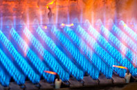 Rainton gas fired boilers